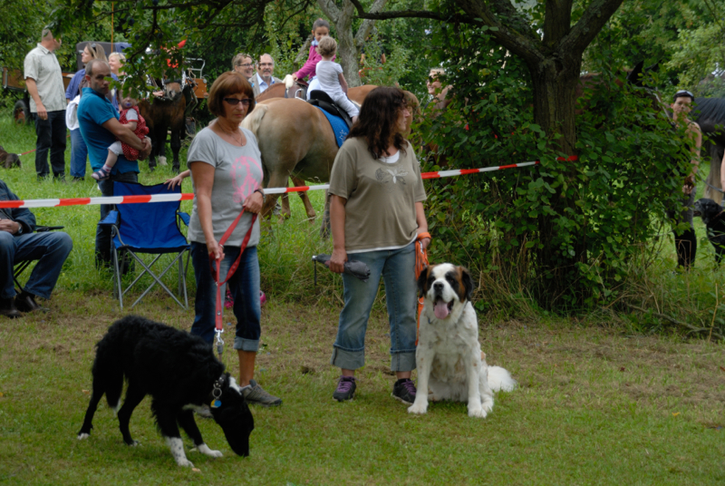 DSC_0031_resize