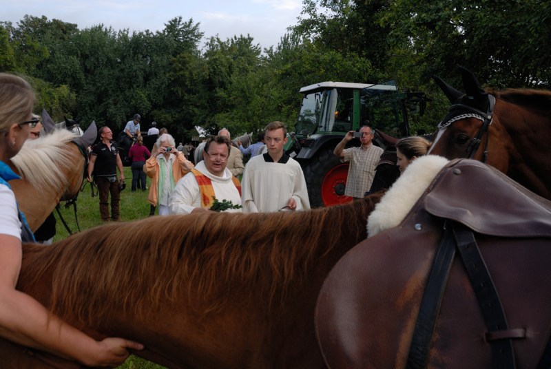 DSC_0044_resize