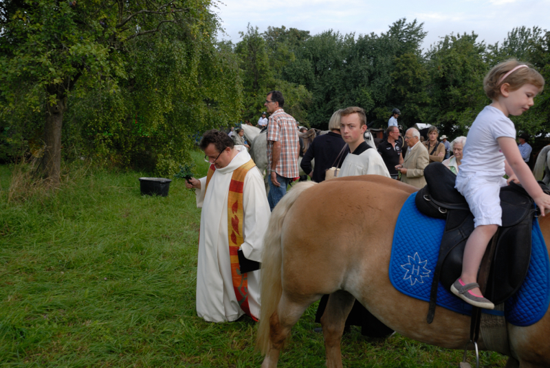 DSC_0045_resize