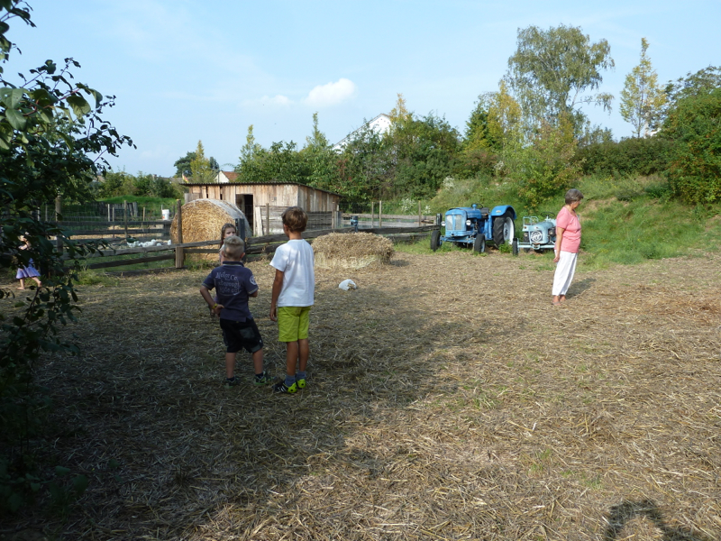 P1090638_resize