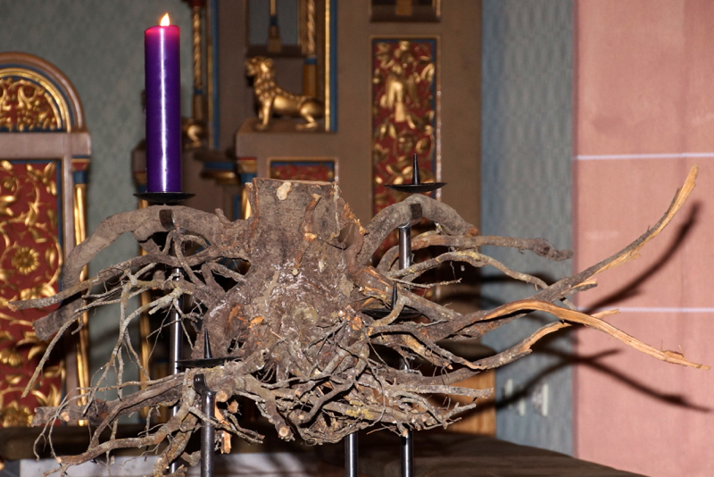 DSC05088_resize