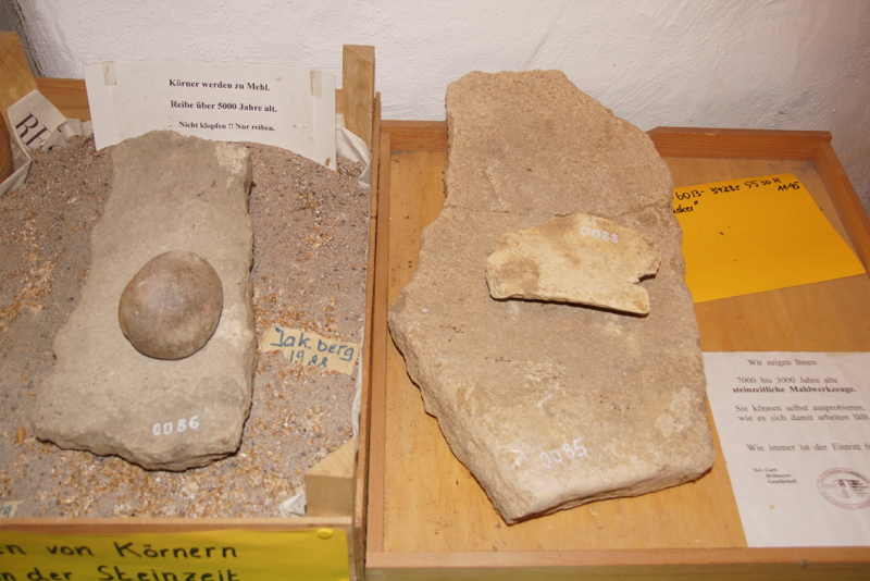 DSC05250_resize
