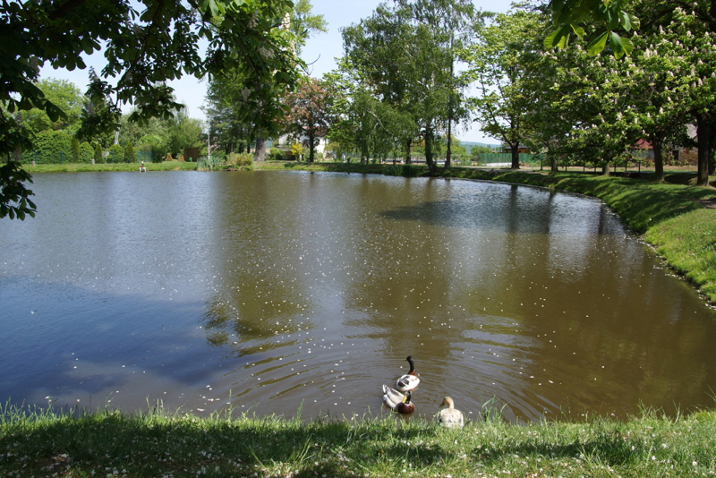 DSC09687_resize