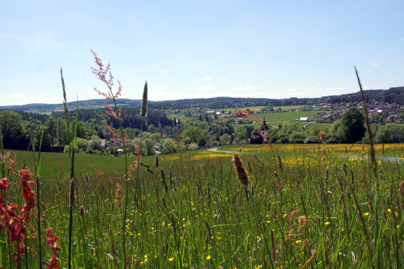 DSC09693_resize