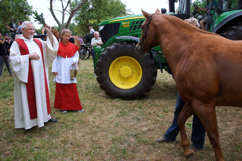 DSC02905_resize
