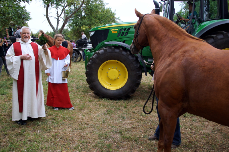 DSC02907_resize
