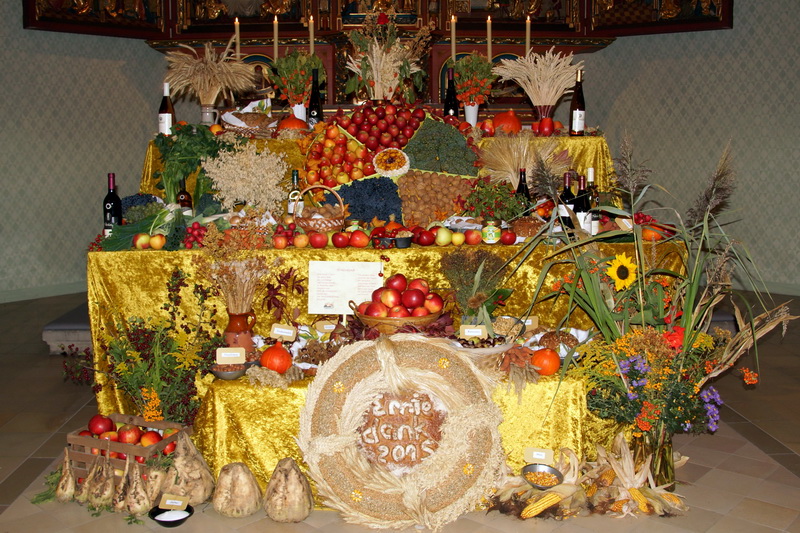 DSC05046