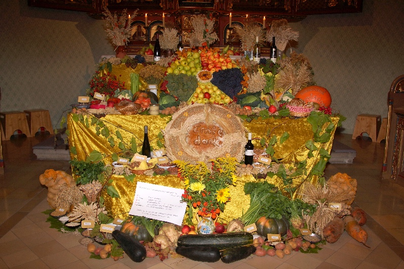 DSC04666-1