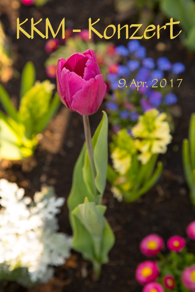 KKM-Konzert_09042017_0000